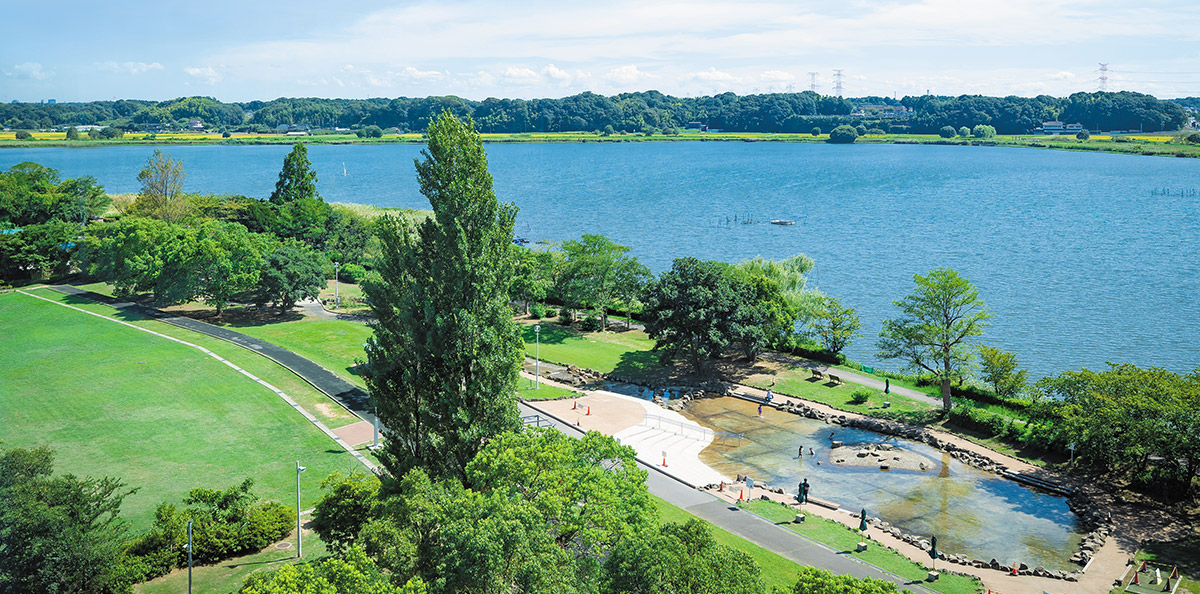 県立印旛手賀沼自然公園の写真