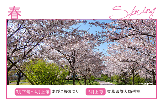 春／3月下旬〜4月上旬：あびこ桜まつり。5月上旬：東葛印旛大師巡拝。