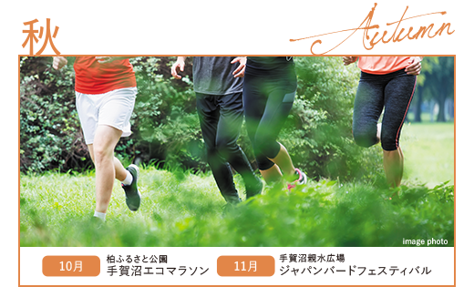 秋／10月：柏ふるさと公園 手賀沼エコマラソン。11月：手賀沼親水広場 ジャパンバードフェスティバル。