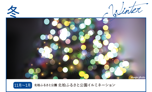 冬／11月〜1月：北柏ふるさと公園 北柏ふるさと公園イルミネーション。