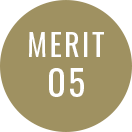 MERIT05