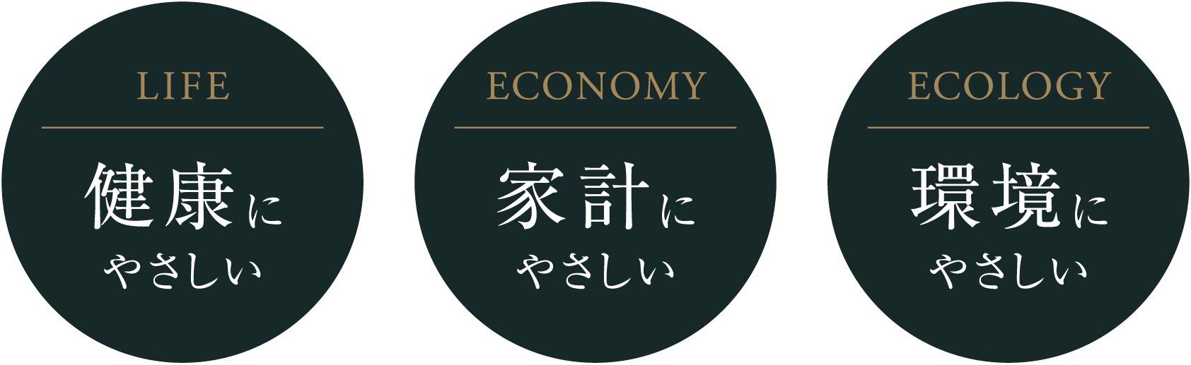 ゼッチ・マンション