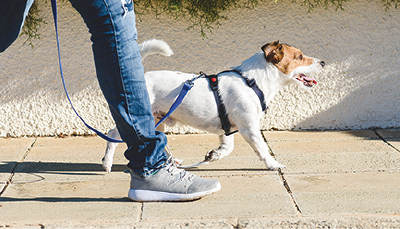 どろんこ洗い場