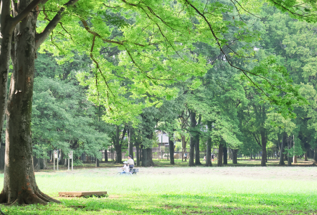 小金井公園