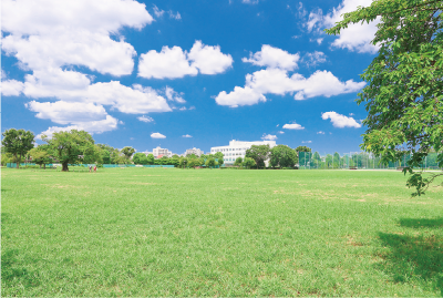 武蔵野中央公園