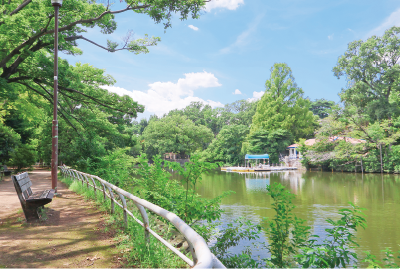 武蔵関公園