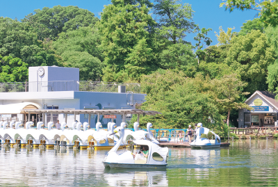 井の頭恩賜公園