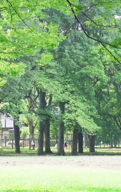 Parkイメージ画像