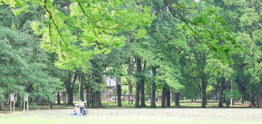 Parkイメージ画像