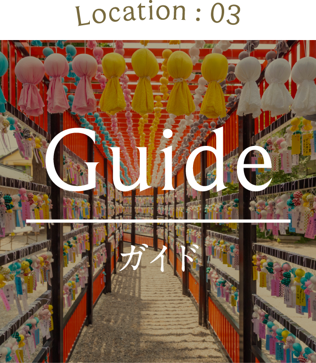 Guide