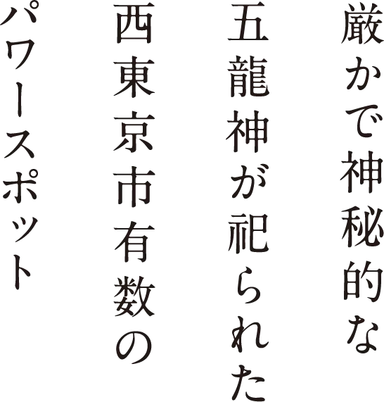 はるか鎌倉時代から神々が祀られてきた穏やかで厳粛な祈りの聖域