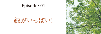 緑がいっぱい！